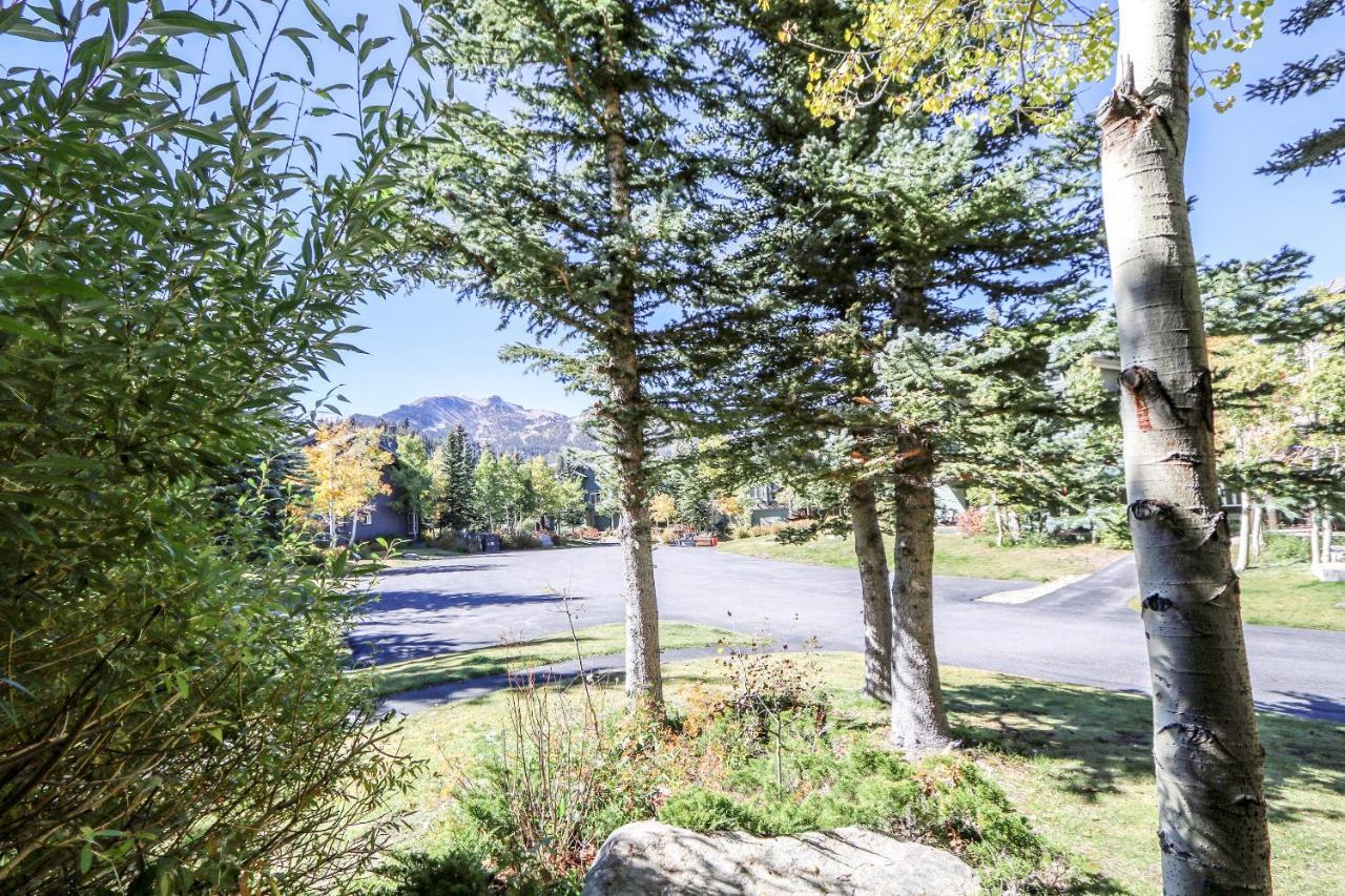 Apartamento Snowcreek 887