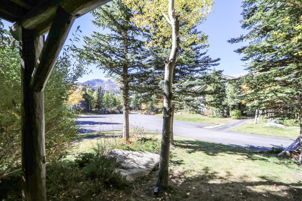 Apartamento Snowcreek 887